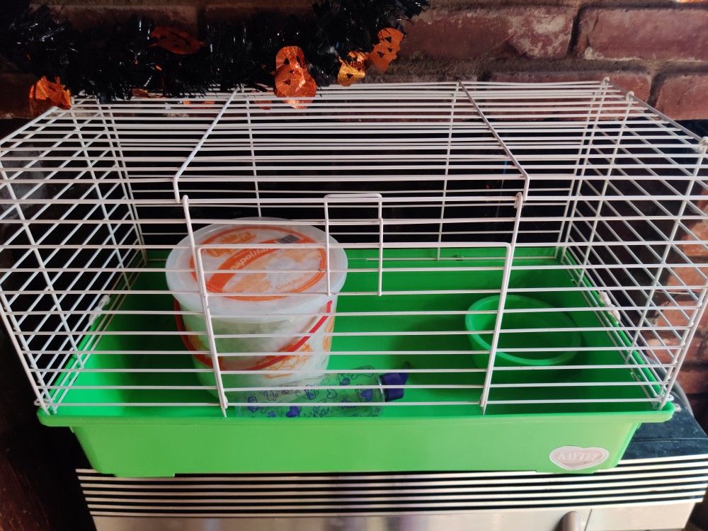 Kaytee Guinea Pig Cage