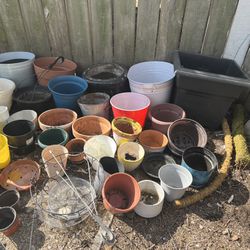 Lots Plants Pots 