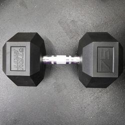 Dumbbell Hex 75lb single