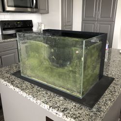 10 gallon tank with sump and pump