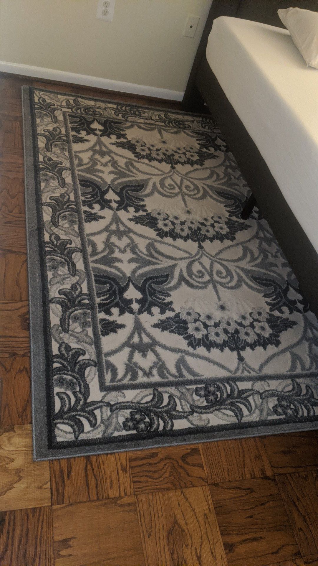 Area Rug for $25