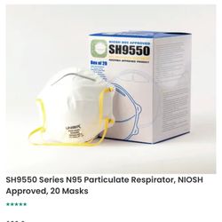 N95 PARTICULATE RESPIRATOR MASK (BOX of 20)