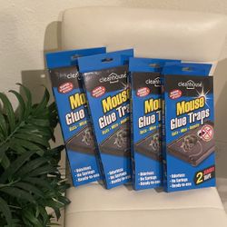 Rat And Mouse Traps
