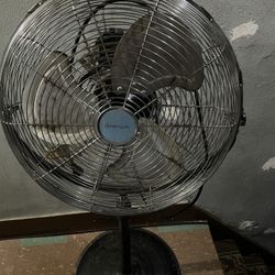 Fan 