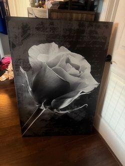 Black and White Rose Canvas Wall Art