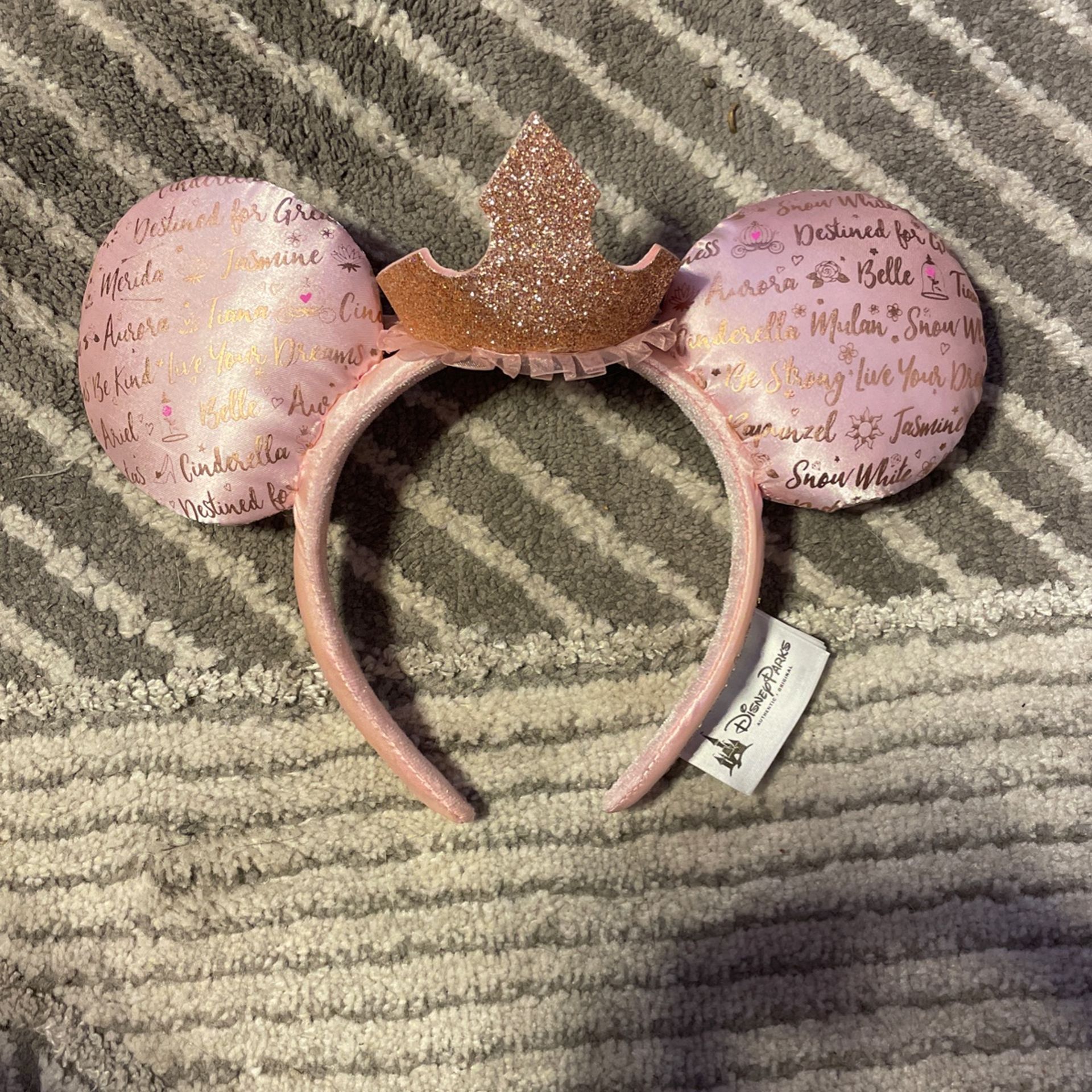 Princess Mickey Ears