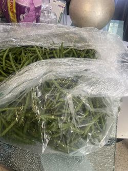 Abuchéela