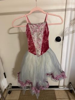 Girls Ballet Dance Costume Tutu Dress