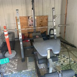 Bench Press & Squat Rack Weights/ Dumbbells 