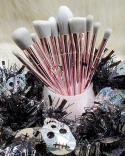 10 Make Up Brushes