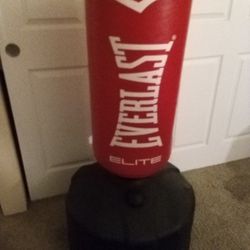 Brand New Stand Alone Everlast Bag