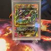 Rayquaza Addict
