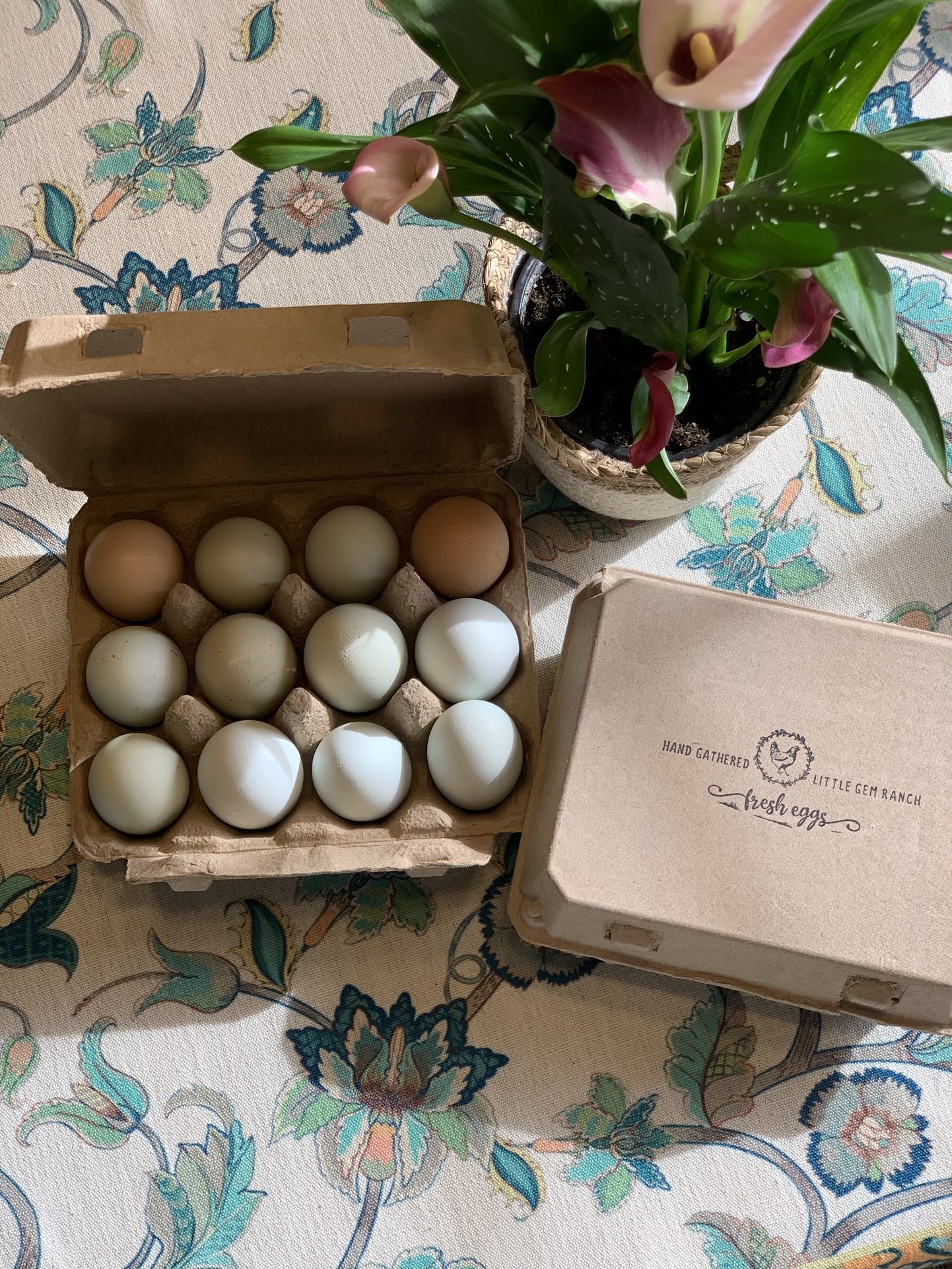 Free Range $7 A Dozen