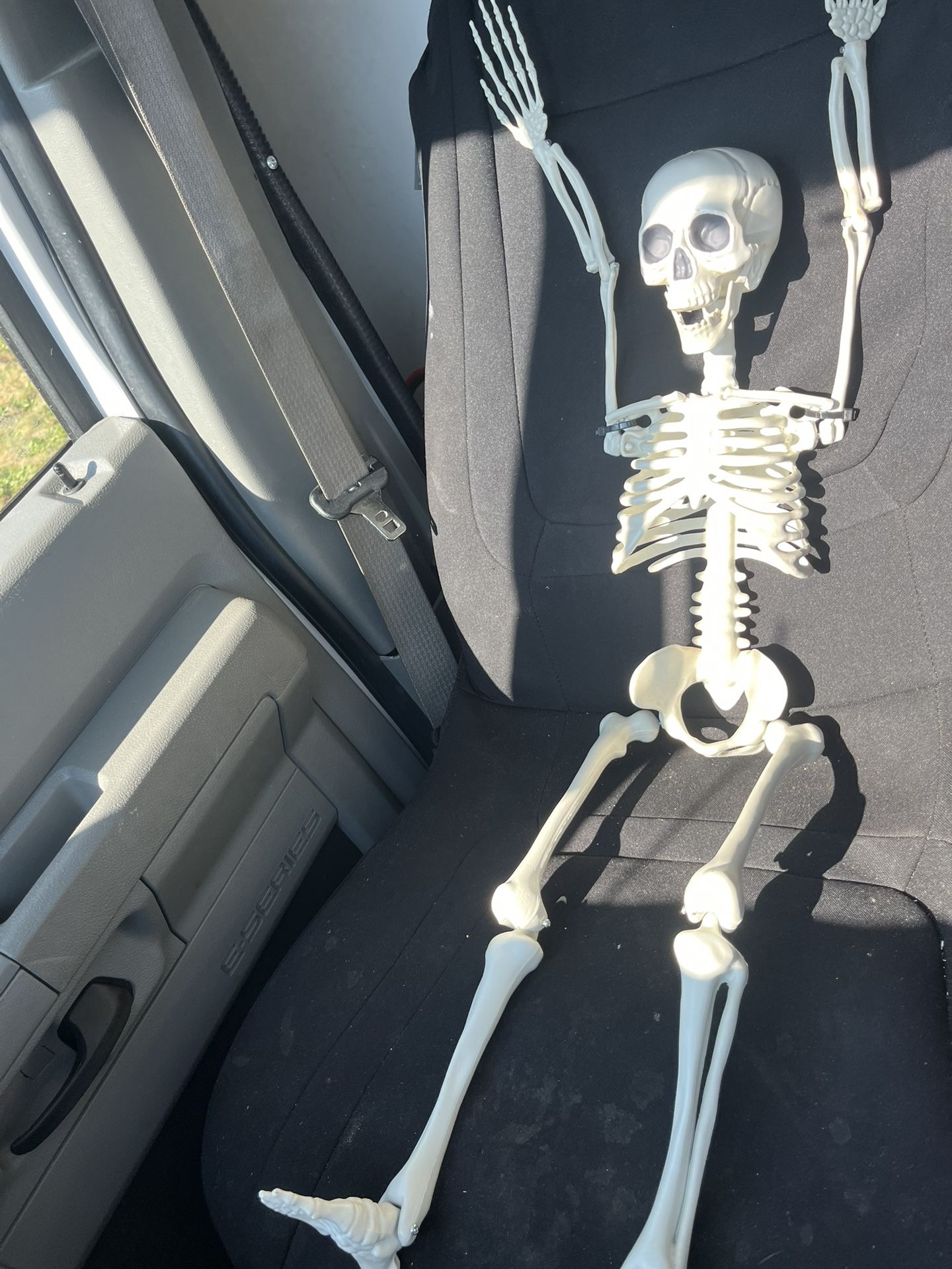 Fake Skeleton For Halloween.