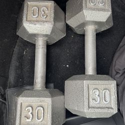 💪 30 LB Dumbbells (Pair) – Great Condition