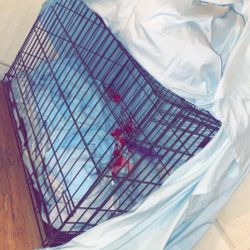 Extra Large Dog Cage