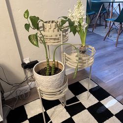 Plant stand