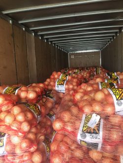 Onions for sale