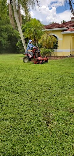 Grass# tree# #hedge. Trim