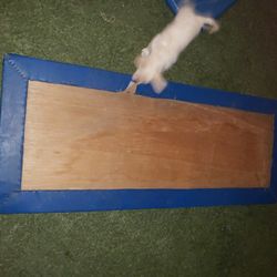 Dog Mat. Pet Mat. Garage Mat. 