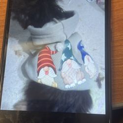 Christmas Dog Sweater