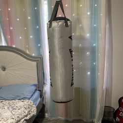 Everlast Punching Bag 70 Lb