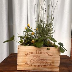 Wine Crate Planters with Herbs And Plants