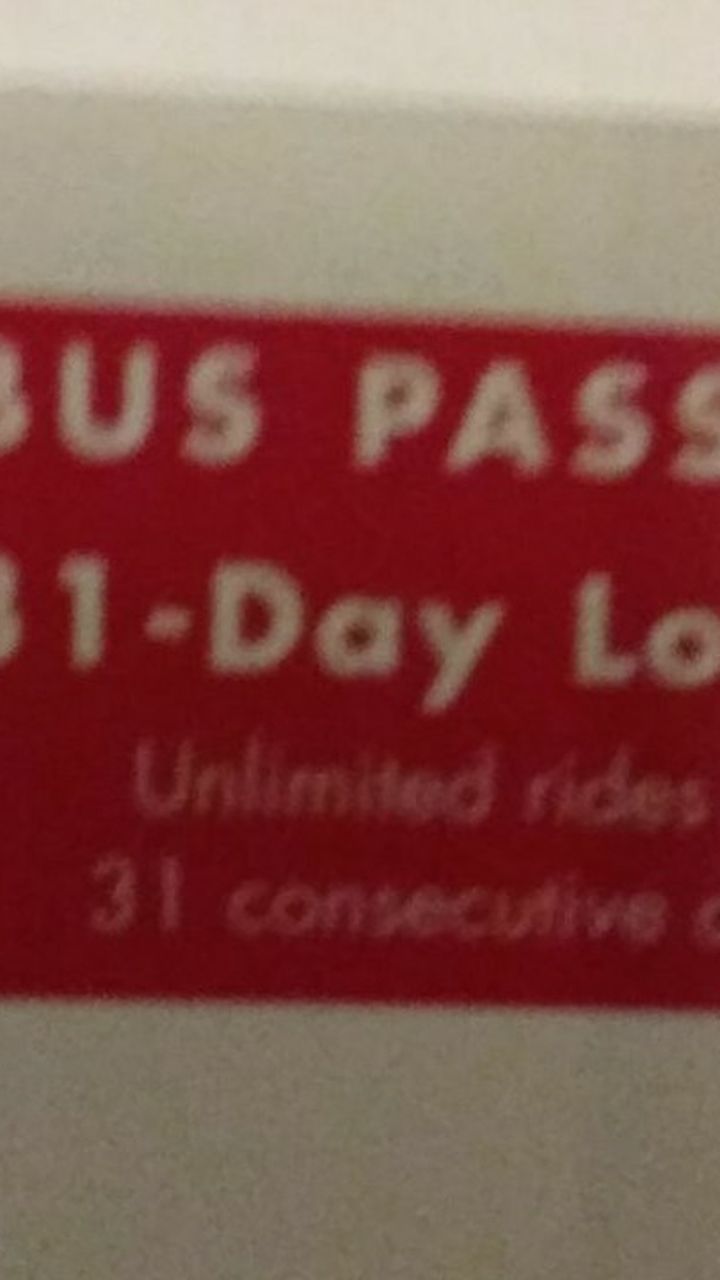 31 Day Bus pass