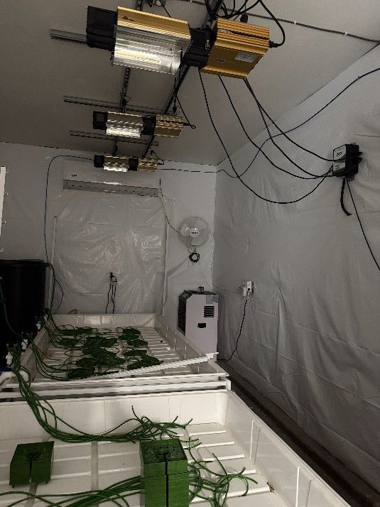Hydro Grow Set Up