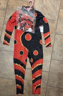 Miraculous dragonbug costume 