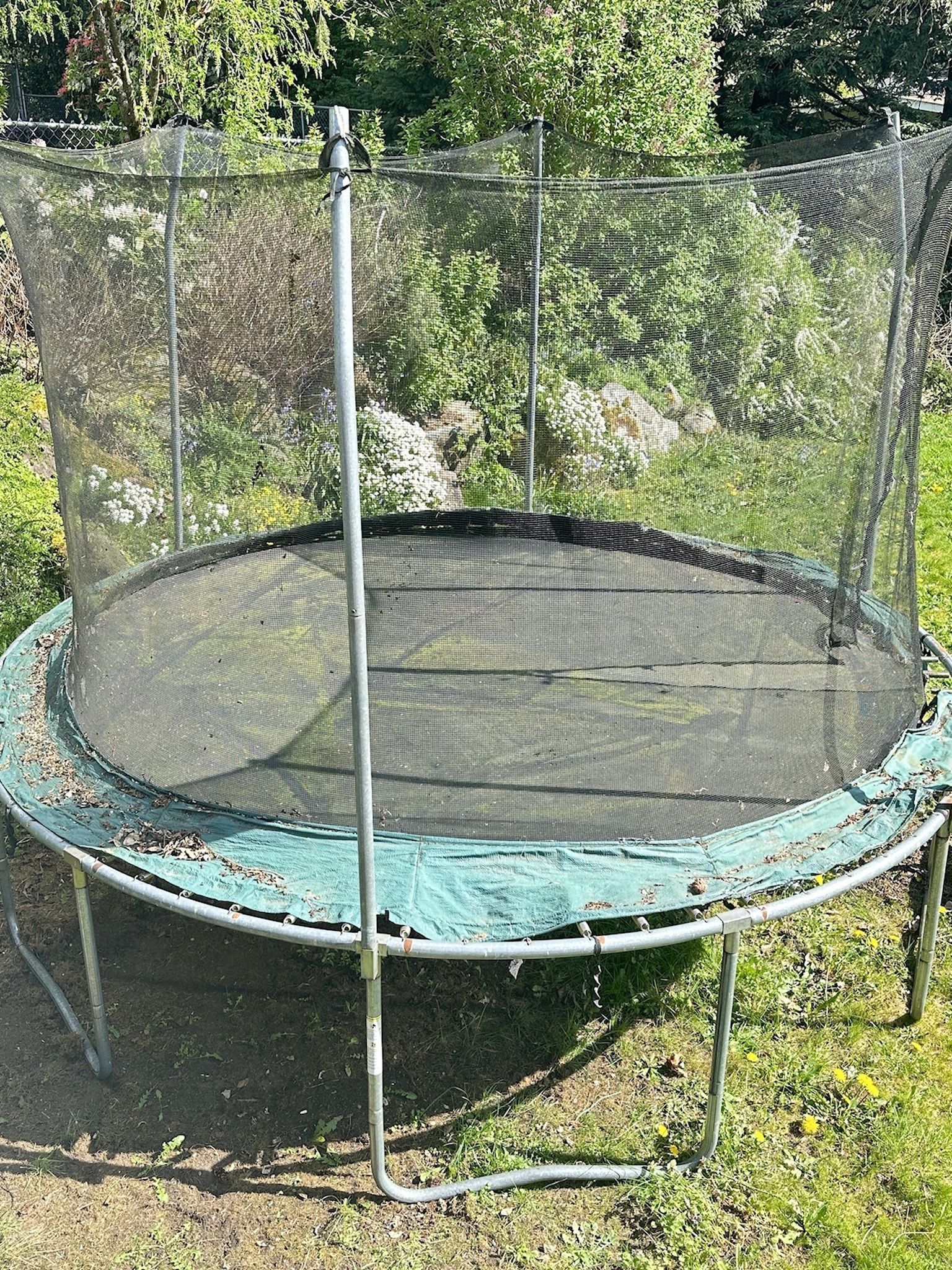 Free Trampoline