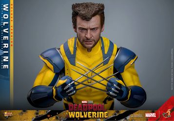 HOT TOYS DEADPOOL & WOLVERINE DELUXE MMS754