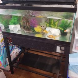 Fish Aquarium 20 gallon With Stand