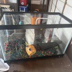 Fish Tank 10 Gallon