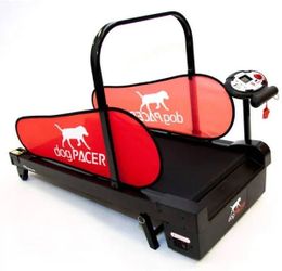 Dog pacer treadmill