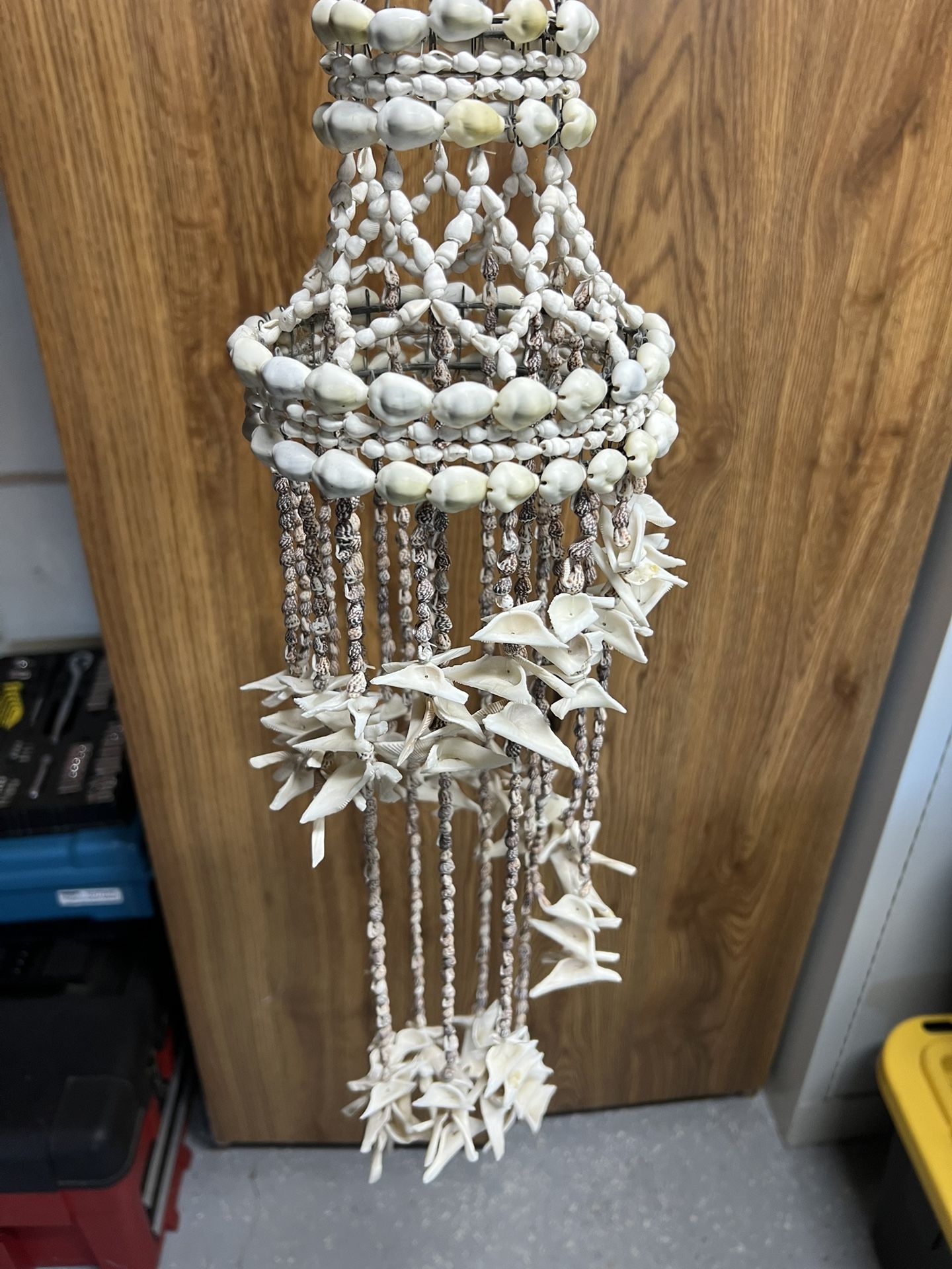 Beautiful Shark tooth Wind chime