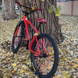 Red OG 29er