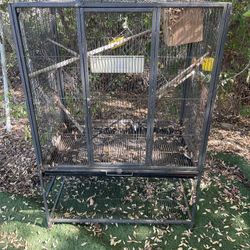 Bird Cage