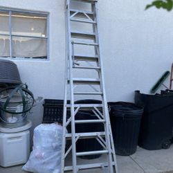 Ladder South H And Wilson 