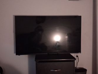 Vizio Flat Screen TV
