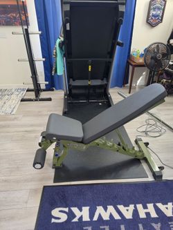 Giant Adj bench, Squat stand