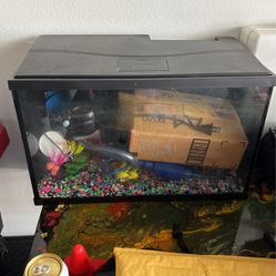 Fish Tank