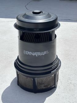 Dental XL- Large size bug trap