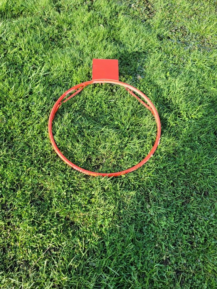 Regulation Size Basketball Rim