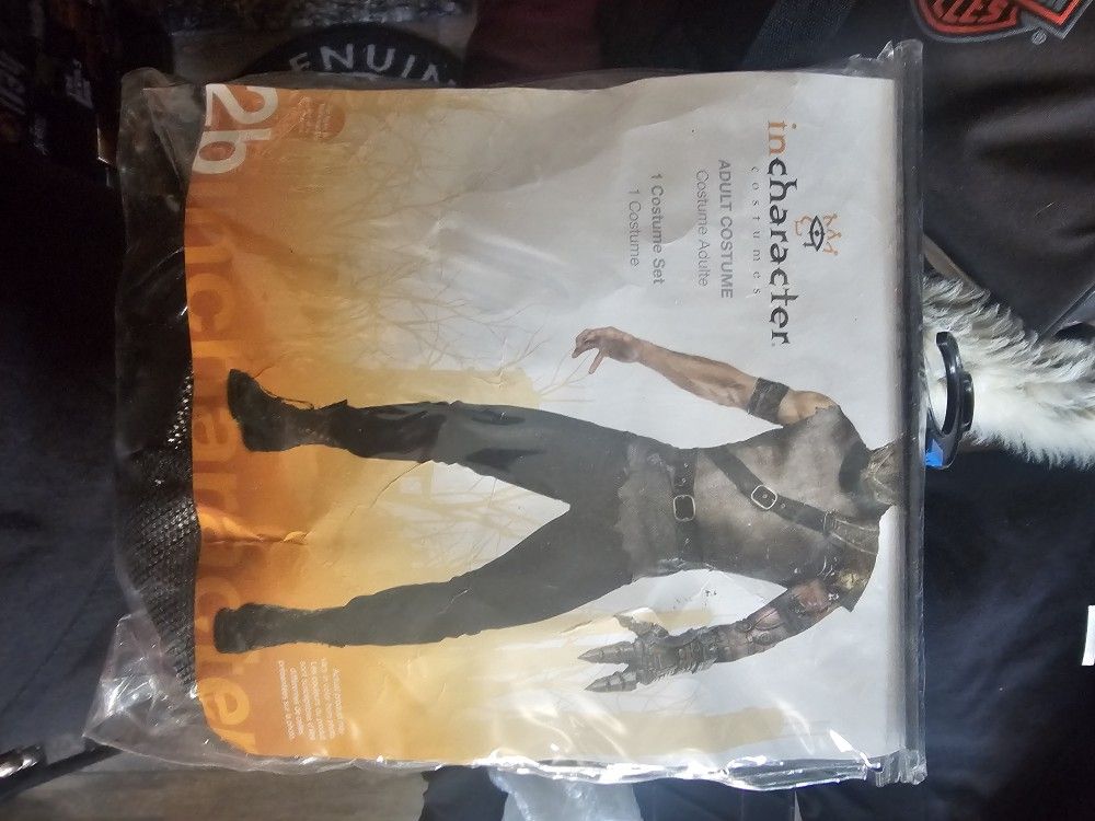 Waste Land Warrior Costume