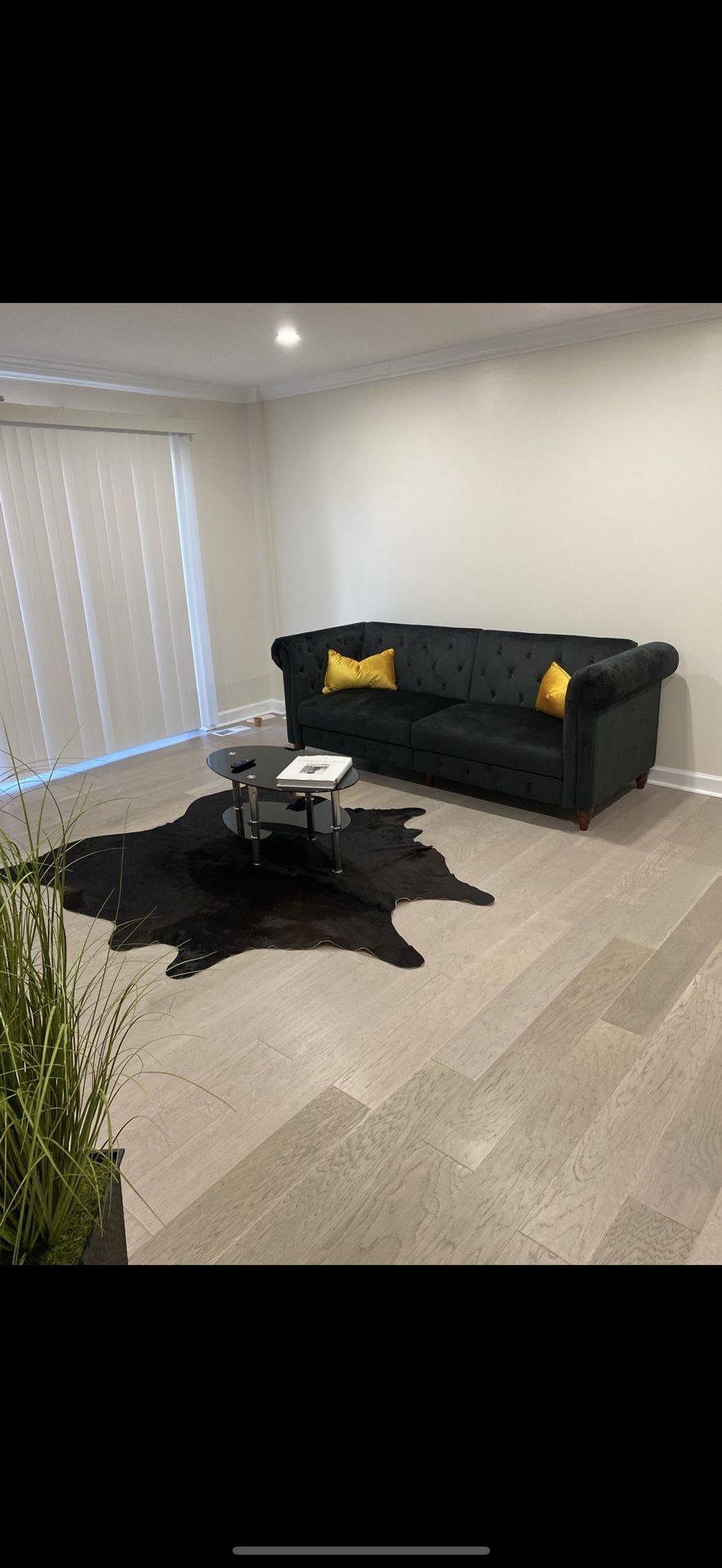 Black Velvet Couch