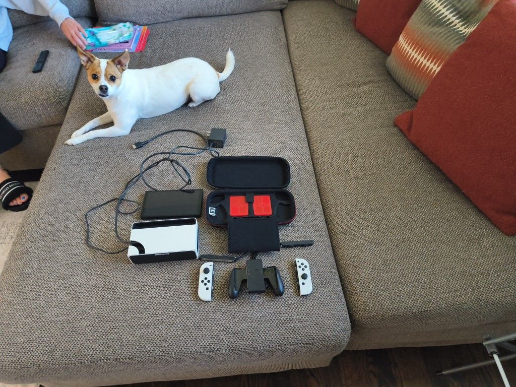 Nintendo Switch OLDE