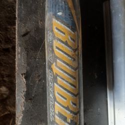 Nike Bat