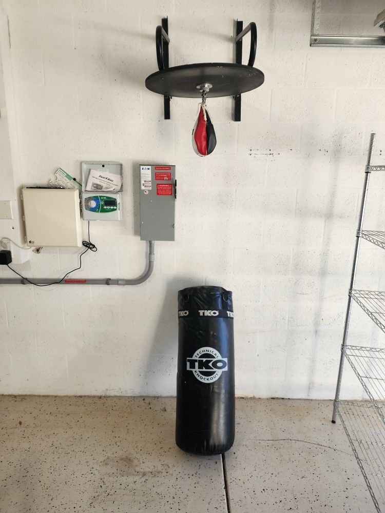 Speed Ball And Punching Bag