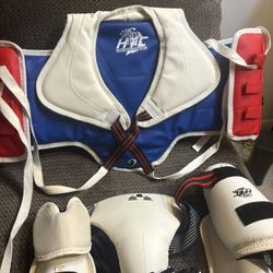 Taekwondo Sparring Gear Plus Bag